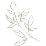 Homeopathie TherapieVergoed.nl