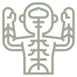 Somatic Experiencing therapie (SE) TherapieVergoed.nl