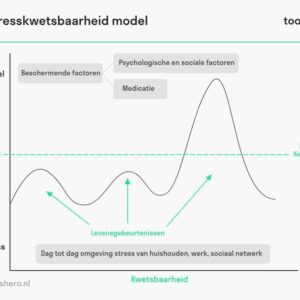 stress-kwetsbaarheidsmodel-raamwerk-toolshero