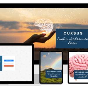 cursus-rust-in-lichaam-en-brein