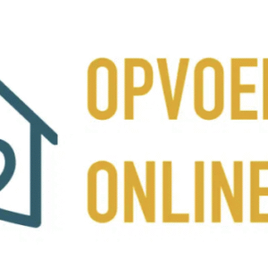 beter-contact-met-een-kind-met-een-trauma